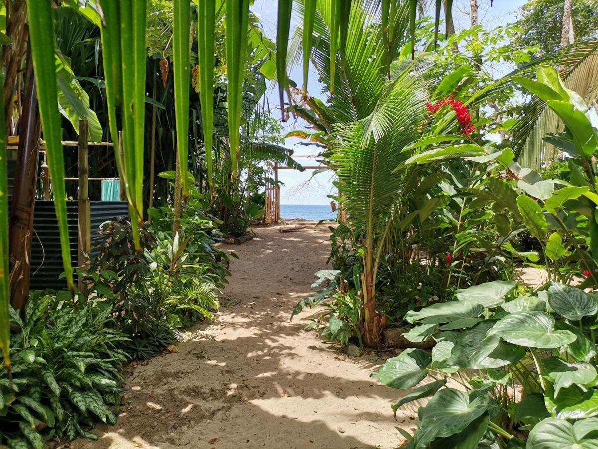 Oasis Beachfront Hostel Limón Exterior foto