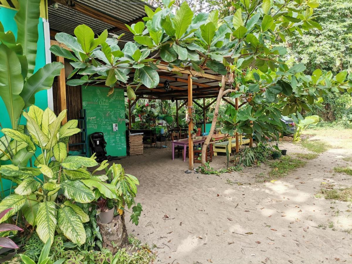 Oasis Beachfront Hostel Limón Exterior foto