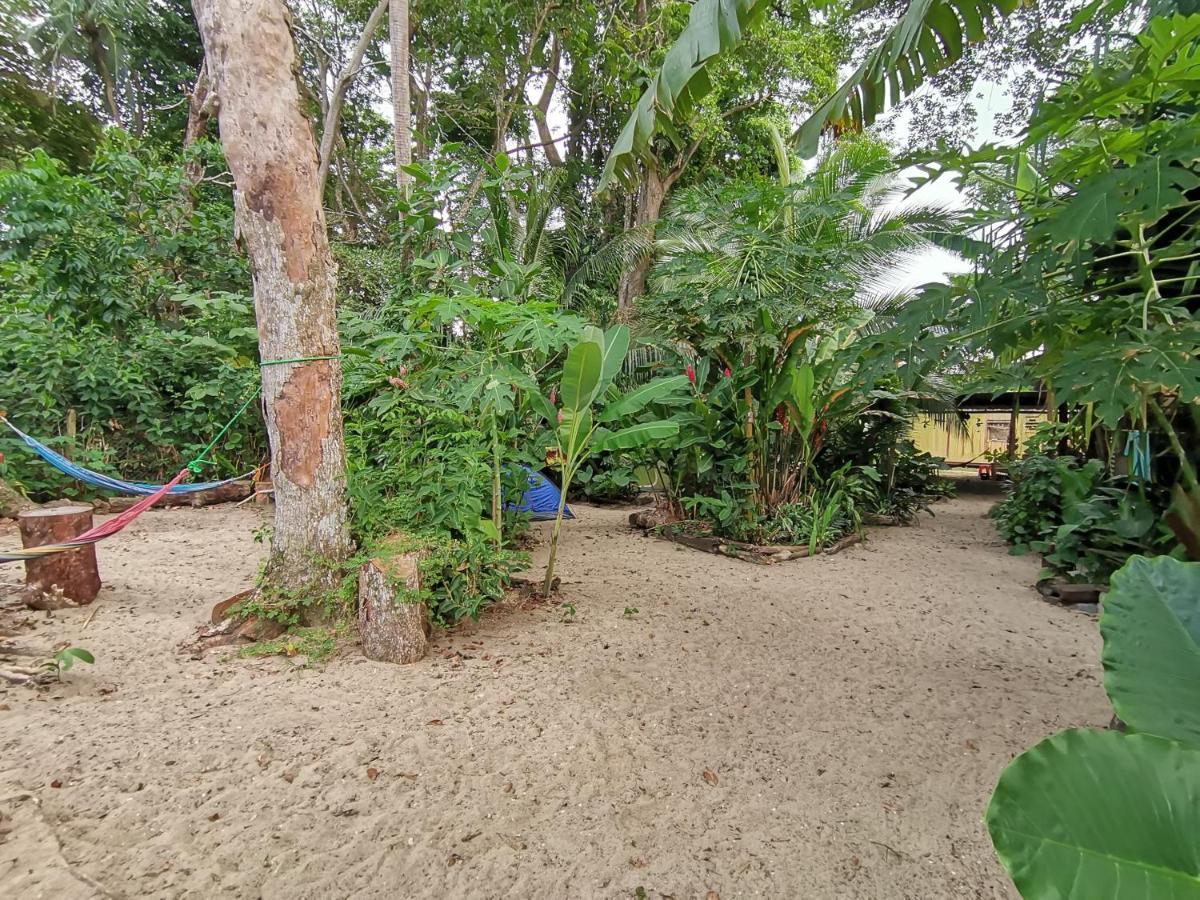 Oasis Beachfront Hostel Limón Exterior foto